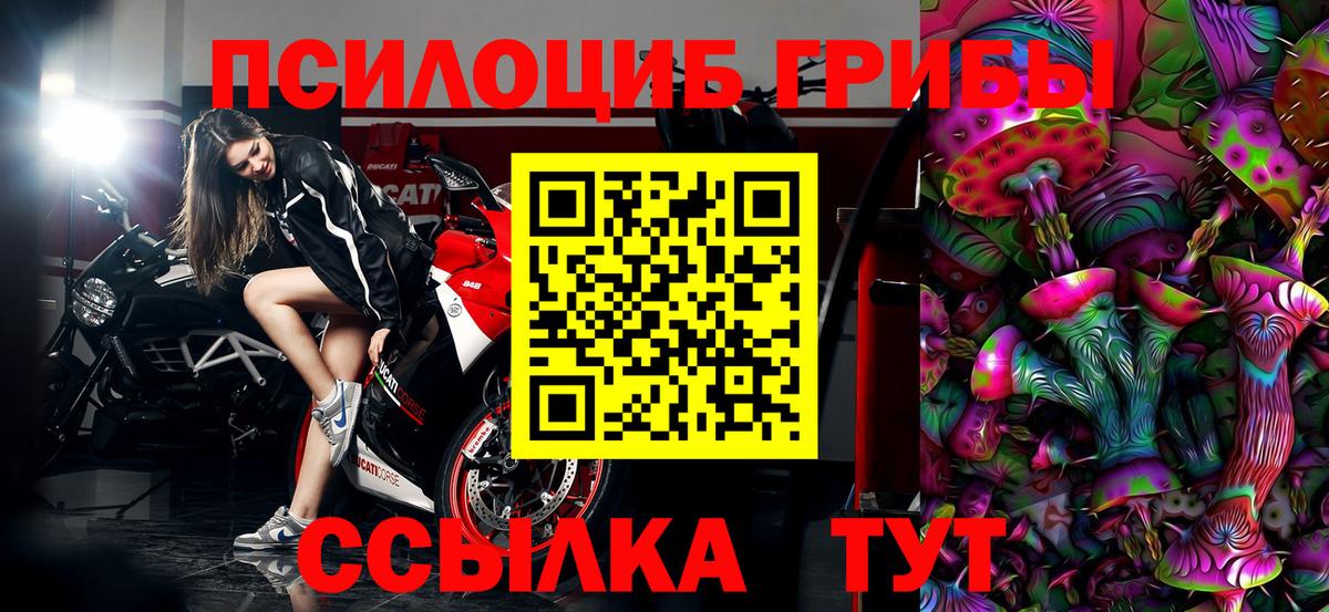 Галлюциногенные грибы Psilocybine cubensis  Вход с VPN  Будённовск  Псилоцибиновые грибы мухоморы 